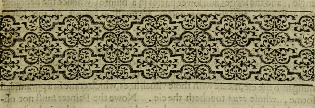 An illustration from A tracte containing the artes of curious paintinge, caruinge & buildinge, 1598, leaf 48