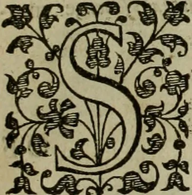 An illustration from A tracte containing the artes of curious paintinge, caruinge & buildinge, 1598, leaf 52