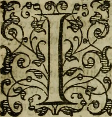 An illustration from A tracte containing the artes of curious paintinge, caruinge & buildinge, 1598, leaf 54