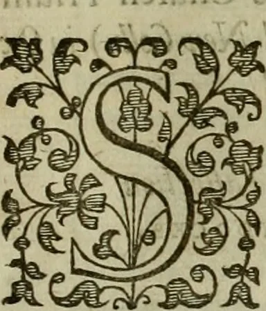 An illustration from A tracte containing the artes of curious paintinge, caruinge & buildinge, 1598, leaf 6