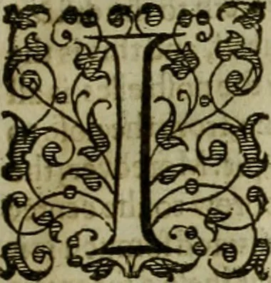 An illustration from A tracte containing the artes of curious paintinge, caruinge & buildinge, 1598, leaf 60
