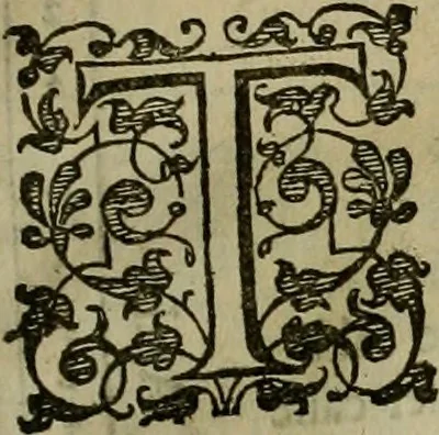 An illustration from A tracte containing the artes of curious paintinge, caruinge & buildinge, 1598, leaf 64
