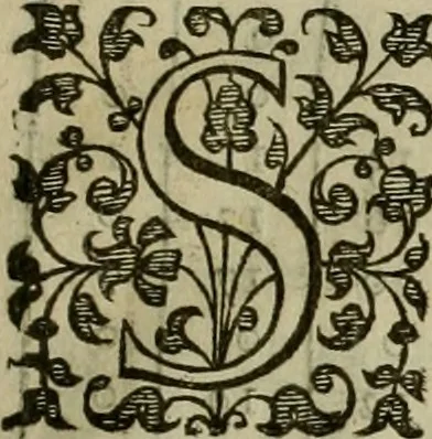An illustration from A tracte containing the artes of curious paintinge, caruinge & buildinge, 1598, leaf 66