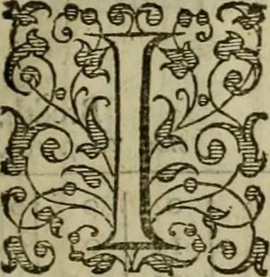 An illustration from A tracte containing the artes of curious paintinge, caruinge & buildinge, 1598, leaf 68