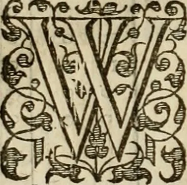An illustration from A tracte containing the artes of curious paintinge, caruinge & buildinge, 1598, leaf 71