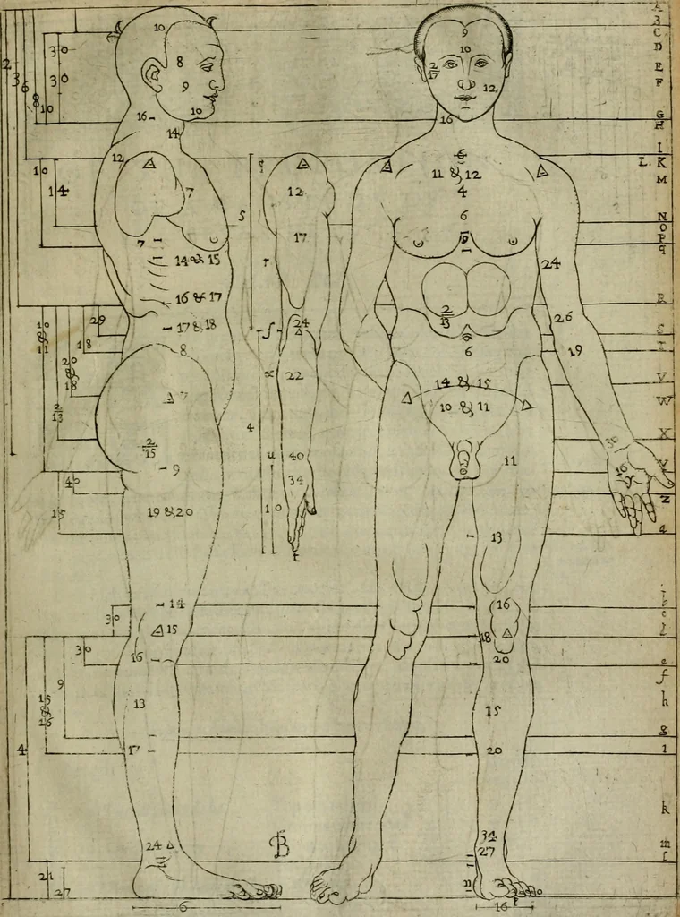 An illustration from A tracte containing the artes of curious paintinge, caruinge & buildinge, 1598, leaf 74