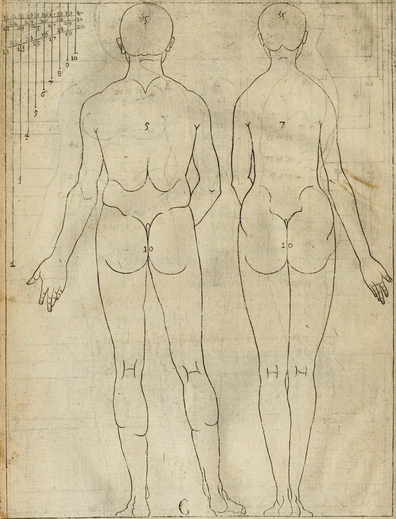 An illustration from A tracte containing the artes of curious paintinge, caruinge & buildinge, 1598, leaf 75