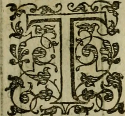 An illustration from A tracte containing the artes of curious paintinge, caruinge & buildinge, 1598, leaf 76