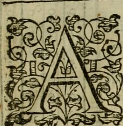 An illustration from A tracte containing the artes of curious paintinge, caruinge & buildinge, 1598, leaf 78