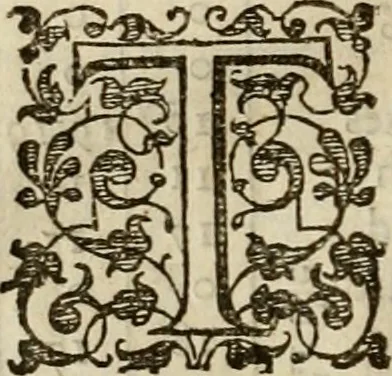 An illustration from A tracte containing the artes of curious paintinge, caruinge & buildinge, 1598, leaf 85