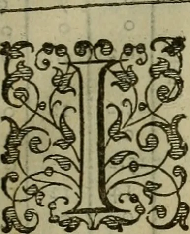 An illustration from A tracte containing the artes of curious paintinge, caruinge & buildinge, 1598, leaf 88