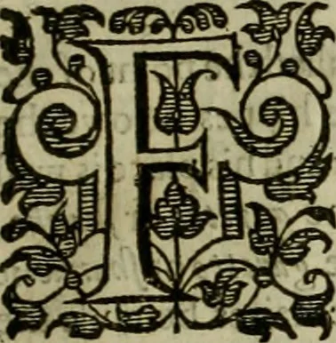 An illustration from A tracte containing the artes of curious paintinge, caruinge & buildinge, 1598, leaf 96
