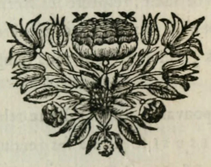 An illustration from Traduction en vers françois des hymnes de monsieur de Santeul, chanoine regulier de S. Victor, 1699, leaf 228
