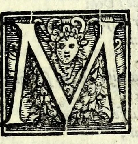 An illustration from Tragedie, 1560, leaf 205