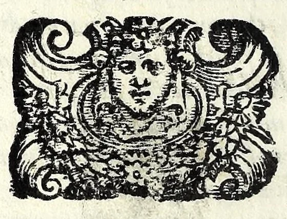 An illustration from Tragedie, 1560, leaf 364