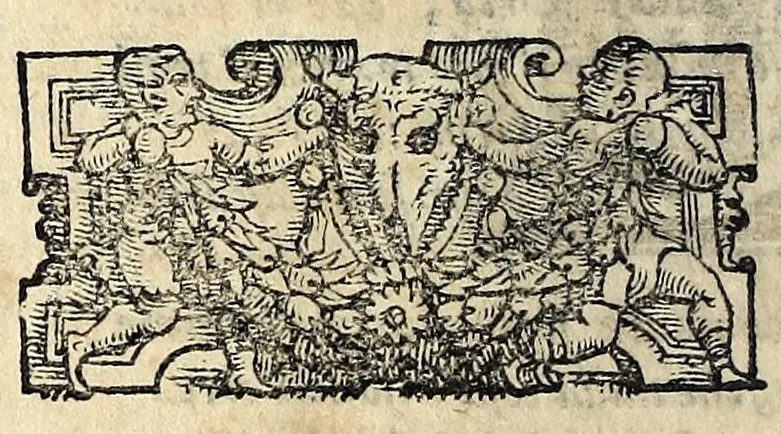 An illustration from Tragedie, 1560, leaf 508