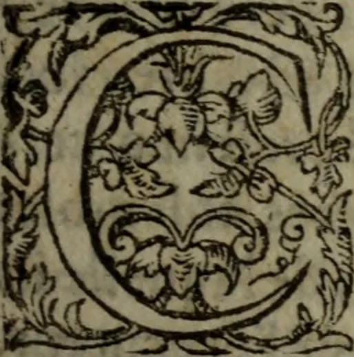 An illustration from Tragedie du roy Franc-arbitre : nouuellement traduite d'Italien en François, 1558, leaf 120