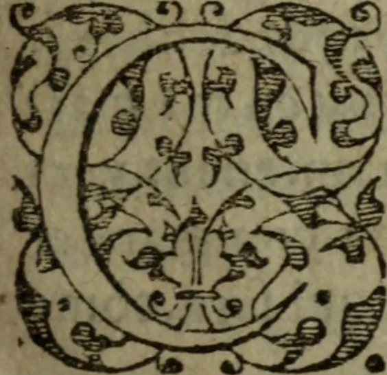 An illustration from Tragedie du roy Franc-arbitre : nouuellement traduite d'Italien en François, 1558, leaf 16