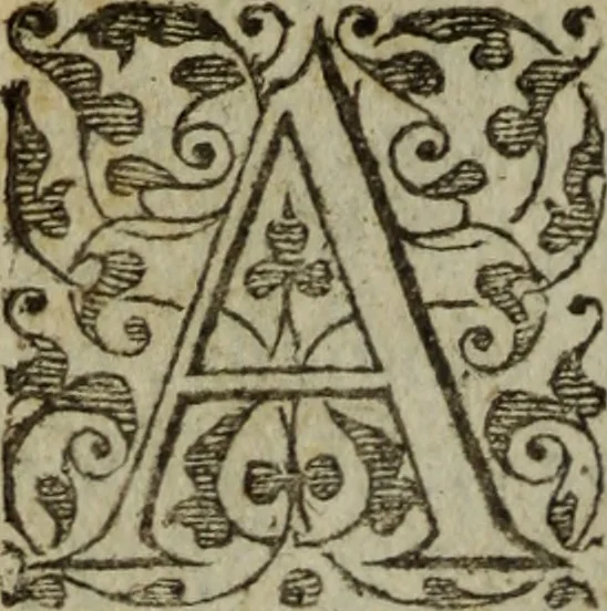 An illustration from Tragedie du roy Franc-arbitre : nouuellement traduite d'Italien en François, 1558, leaf 175