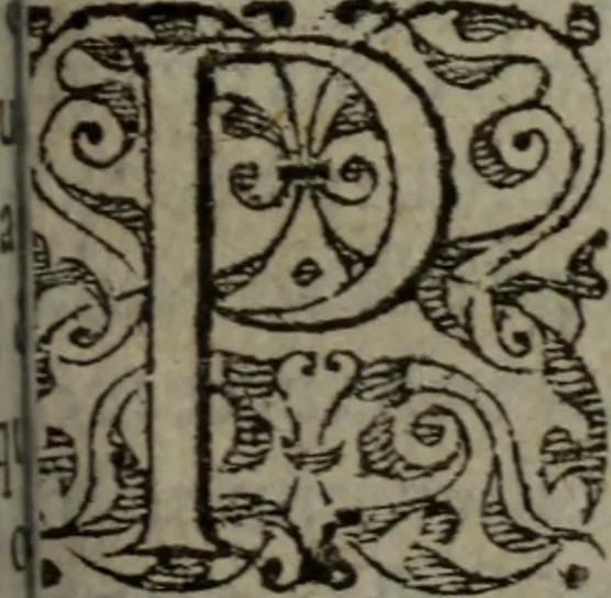 An illustration from Tragedie du roy Franc-arbitre : nouuellement traduite d'Italien en François, 1558, leaf 236