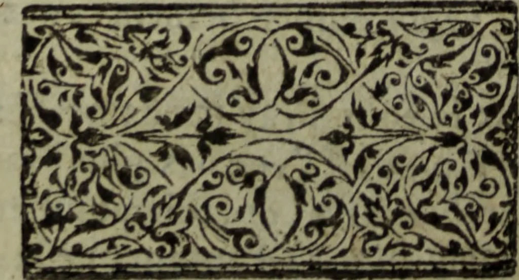 An illustration from Tragedie du roy Franc-arbitre : nouuellement traduite d'Italien en François, 1558, leaf 305