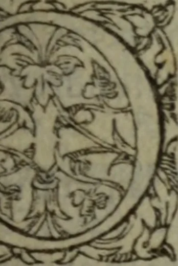 An illustration from Tragedie du roy Franc-arbitre : nouuellement traduite d'Italien en François, 1558, leaf 58