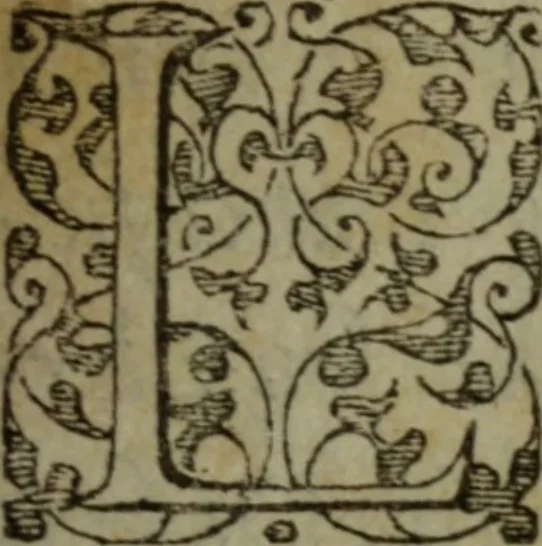 An illustration from Tragedie du roy Franc-arbitre : nouuellement traduite d'Italien en François, 1558, leaf 8