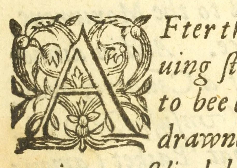 An illustration from Tragedie of Cleopatra, 1599, leaf 15