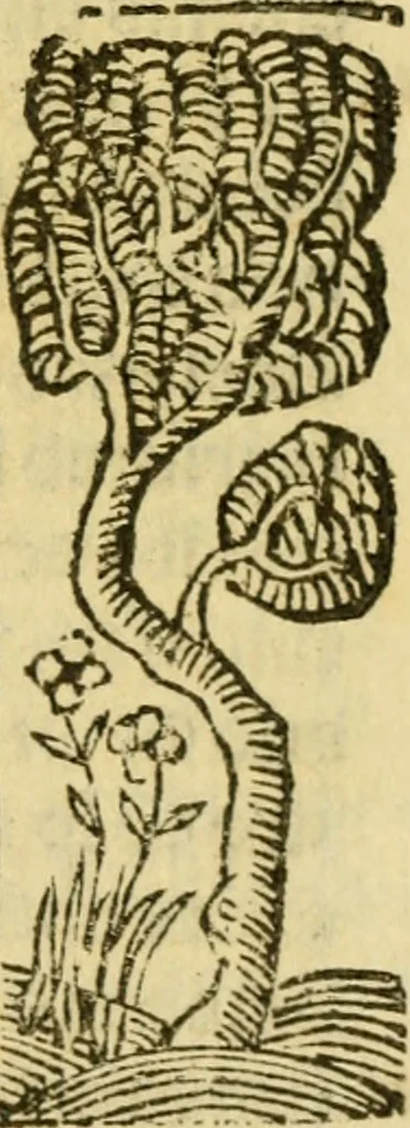 An illustration from Tragicomedia de Calisto y Melibea : en la qual se contiene de mas de su agradable y dulce estilo muchas sentencias filosofales : y avisos muy necessarios para mancebos : mostrandoles los engaños q estan encerrados en seruientes [sic] y alcahuetas : y nuevamente añadidos el tractado de Centurio, 1502, leaf 134