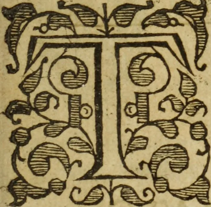 An illustration from A tragi-comedy: called, Match mee in London. : As it hath beene often presented; first, at the Bull in St. Iohns-street; and lately, at the Priuate-House in Drury-Lane, called the Phœnix, 1631, leaf 10