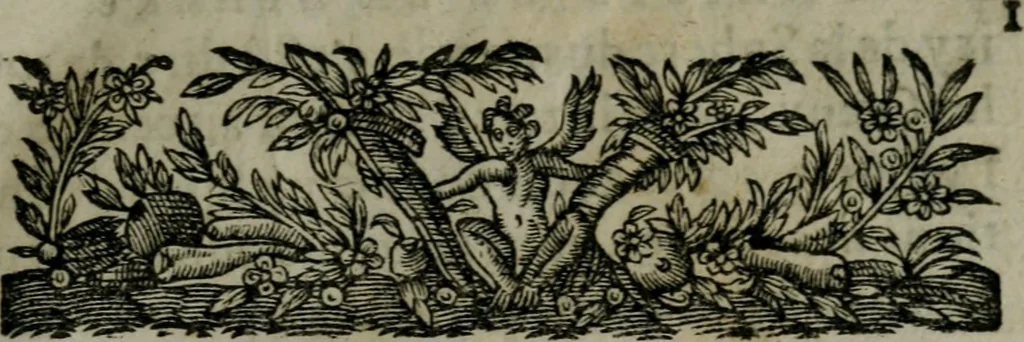 An illustration from Traicté de la sphere dv monde. Diusé en cinq liures, 1664, leaf 12