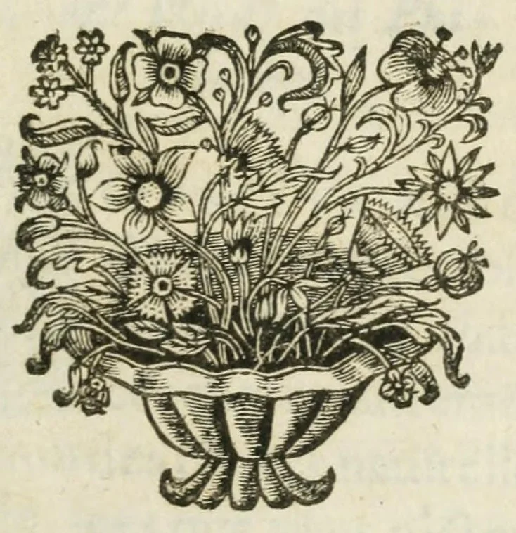An illustration from Traicté de la natvre de l'oevf des philosophes, 1659, leaf 3
