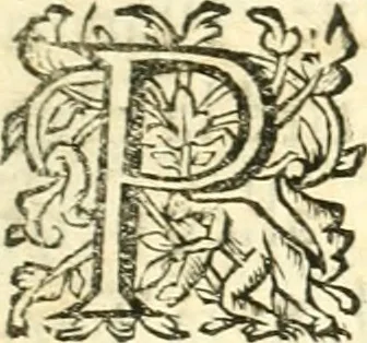 An illustration from Traicte du feu et du sel; excellent et rare opuscule .., 1642, leaf 8