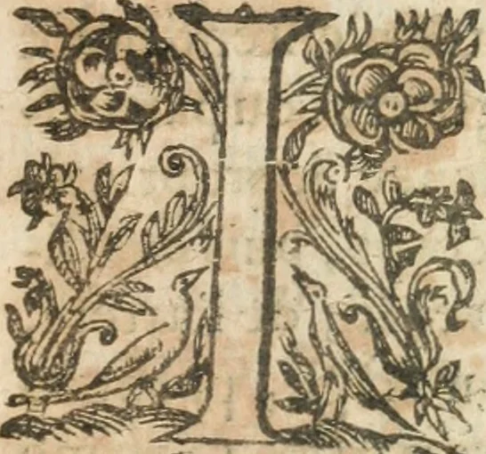 An illustration from Traicté povr la conservation de la santé, et svr la saignee de ce temps, et moyen de remedier aux maladies sans craincte de leur recheute : auec autres traictez necessaires pour toutes sortes de personnes, en façon & ordre non encores veus, & selon la doctrine des anciens medecins grecs, arabes, latins & françois : avgmenté d'vn Traicté de Galien, de l'alictement des malades : Apologie contre Iean Terud ... : Examen du liure intitulé Medecin charitable : Traicté de la physiognomie, auec les figures propres, qui sont au nombre de 53 ..., 1650, leaf 22