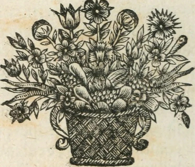 An illustration from Traicté povr la conservation de la santé, et svr la saignee de ce temps, et moyen de remedier aux maladies sans craincte de leur recheute : auec autres traictez necessaires pour toutes sortes de personnes, en façon & ordre non encores veus, & selon la doctrine des anciens medecins grecs, arabes, latins & françois : avgmenté d'vn Traicté de Galien, de l'alictement des malades : Apologie contre Iean Terud ... : Examen du liure intitulé Medecin charitable : Traicté de la physiognomie, auec les figures propres, qui sont au nombre de 53 ..., 1650, leaf 423