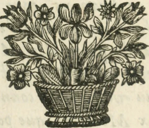 An illustration from Traicté povr la conservation de la santé, et svr la saignee de ce temps, et moyen de remedier aux maladies sans craincte de leur recheute : auec autres traictez necessaires pour toutes sortes de personnes, en façon & ordre non encores veus, & selon la doctrine des anciens medecins grecs, arabes, latins & françois : avgmenté d'vn Traicté de Galien, de l'alictement des malades : Apologie contre Iean Terud ... : Examen du liure intitulé Medecin charitable : Traicté de la physiognomie, auec les figures propres, qui sont au nombre de 53 ..., 1650, leaf 554