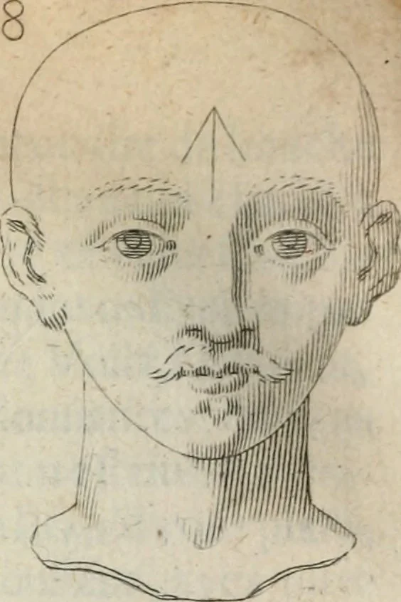 An illustration from Traicté povr la conservation de la santé, et svr la saignee de ce temps, et moyen de remedier aux maladies sans craincte de leur recheute : auec autres traictez necessaires pour toutes sortes de personnes, en façon & ordre non encores veus, & selon la doctrine des anciens medecins grecs, arabes, latins & françois : avgmenté d'vn Traicté de Galien, de l'alictement des malades : Apologie contre Iean Terud ... : Examen du liure intitulé Medecin charitable : Traicté de la physiognomie, auec les figures propres, qui sont au nombre de 53 ..., 1650, leaf 743