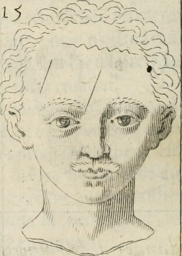 An illustration from Traicté povr la conservation de la santé, et svr la saignee de ce temps, et moyen de remedier aux maladies sans craincte de leur recheute : auec autres traictez necessaires pour toutes sortes de personnes, en façon & ordre non encores veus, & selon la doctrine des anciens medecins grecs, arabes, latins & françois : avgmenté d'vn Traicté de Galien, de l'alictement des malades : Apologie contre Iean Terud ... : Examen du liure intitulé Medecin charitable : Traicté de la physiognomie, auec les figures propres, qui sont au nombre de 53 ..., 1650, leaf 743