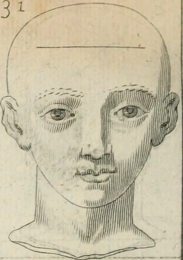 An illustration from Traicté povr la conservation de la santé, et svr la saignee de ce temps, et moyen de remedier aux maladies sans craincte de leur recheute : auec autres traictez necessaires pour toutes sortes de personnes, en façon & ordre non encores veus, & selon la doctrine des anciens medecins grecs, arabes, latins & françois : avgmenté d'vn Traicté de Galien, de l'alictement des malades : Apologie contre Iean Terud ... : Examen du liure intitulé Medecin charitable : Traicté de la physiognomie, auec les figures propres, qui sont au nombre de 53 ..., 1650, leaf 745