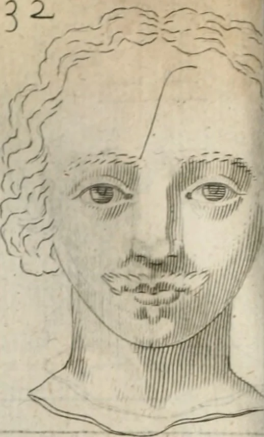 An illustration from Traicté povr la conservation de la santé, et svr la saignee de ce temps, et moyen de remedier aux maladies sans craincte de leur recheute : auec autres traictez necessaires pour toutes sortes de personnes, en façon & ordre non encores veus, & selon la doctrine des anciens medecins grecs, arabes, latins & françois : avgmenté d'vn Traicté de Galien, de l'alictement des malades : Apologie contre Iean Terud ... : Examen du liure intitulé Medecin charitable : Traicté de la physiognomie, auec les figures propres, qui sont au nombre de 53 ..., 1650, leaf 745