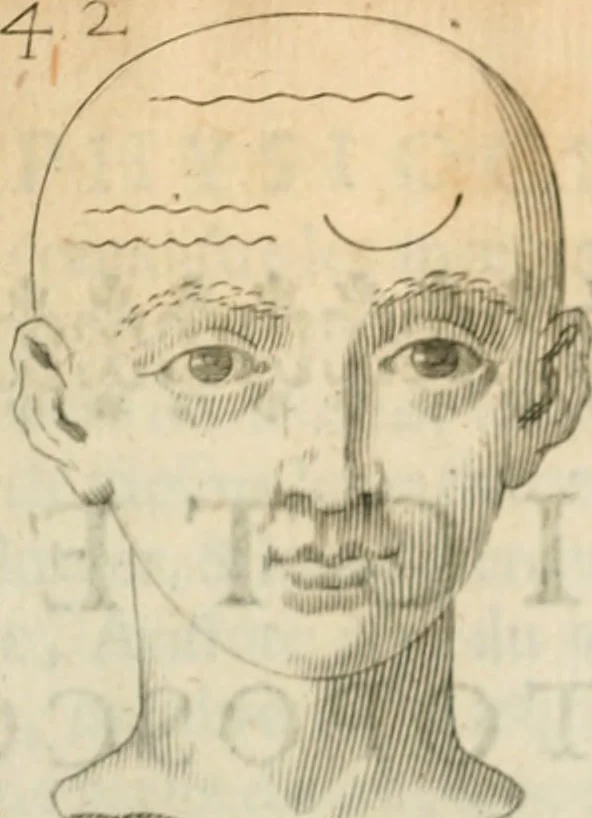 An illustration from Traicté povr la conservation de la santé, et svr la saignee de ce temps, et moyen de remedier aux maladies sans craincte de leur recheute : auec autres traictez necessaires pour toutes sortes de personnes, en façon & ordre non encores veus, & selon la doctrine des anciens medecins grecs, arabes, latins & françois : avgmenté d'vn Traicté de Galien, de l'alictement des malades : Apologie contre Iean Terud ... : Examen du liure intitulé Medecin charitable : Traicté de la physiognomie, auec les figures propres, qui sont au nombre de 53 ..., 1650, leaf 746