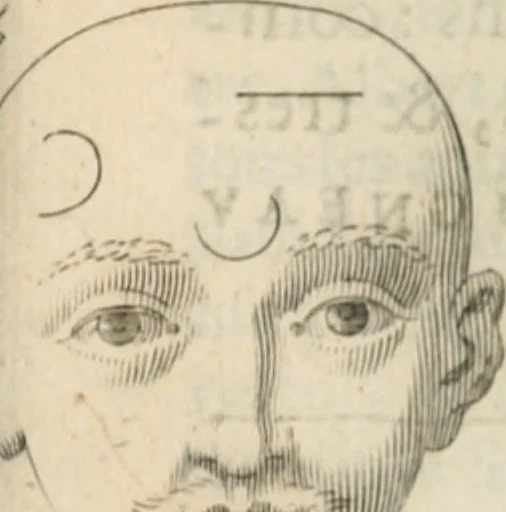 An illustration from Traicté povr la conservation de la santé, et svr la saignee de ce temps, et moyen de remedier aux maladies sans craincte de leur recheute : auec autres traictez necessaires pour toutes sortes de personnes, en façon & ordre non encores veus, & selon la doctrine des anciens medecins grecs, arabes, latins & françois : avgmenté d'vn Traicté de Galien, de l'alictement des malades : Apologie contre Iean Terud ... : Examen du liure intitulé Medecin charitable : Traicté de la physiognomie, auec les figures propres, qui sont au nombre de 53 ..., 1650, leaf 746