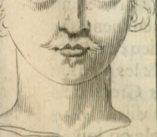 An illustration from Traicté povr la conservation de la santé, et svr la saignee de ce temps, et moyen de remedier aux maladies sans craincte de leur recheute : auec autres traictez necessaires pour toutes sortes de personnes, en façon & ordre non encores veus, & selon la doctrine des anciens medecins grecs, arabes, latins & françois : avgmenté d'vn Traicté de Galien, de l'alictement des malades : Apologie contre Iean Terud ... : Examen du liure intitulé Medecin charitable : Traicté de la physiognomie, auec les figures propres, qui sont au nombre de 53 ..., 1650, leaf 746