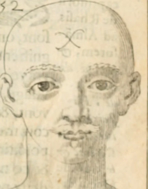 An illustration from Traicté povr la conservation de la santé, et svr la saignee de ce temps, et moyen de remedier aux maladies sans craincte de leur recheute : auec autres traictez necessaires pour toutes sortes de personnes, en façon & ordre non encores veus, & selon la doctrine des anciens medecins grecs, arabes, latins & françois : avgmenté d'vn Traicté de Galien, de l'alictement des malades : Apologie contre Iean Terud ... : Examen du liure intitulé Medecin charitable : Traicté de la physiognomie, auec les figures propres, qui sont au nombre de 53 ..., 1650, leaf 746