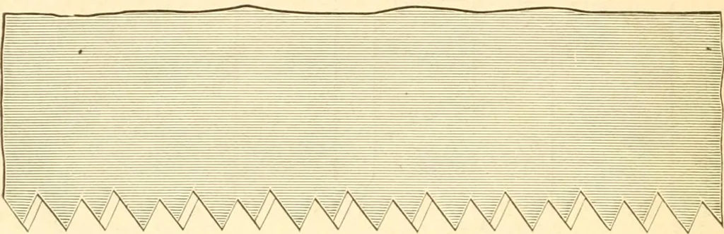 An illustration from Training in wood-work, designed for use in manual training and technical school; consisting of three parts: carpentry, wood-turning and pattern work, 1902, leaf 19