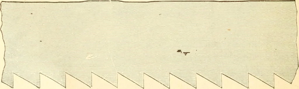An illustration from Training in wood-work, designed for use in manual training and technical school; consisting of three parts: carpentry, wood-turning and pattern work, 1902, leaf 19