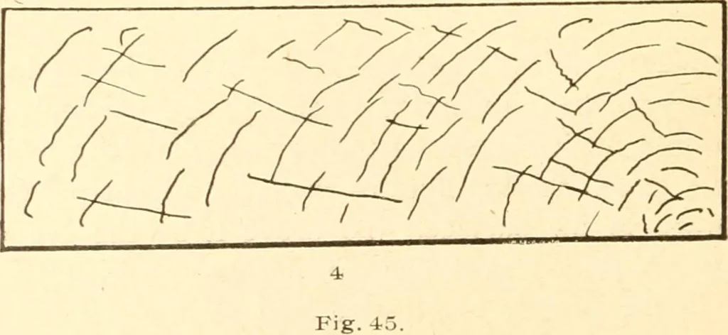 An illustration from Training in wood-work, designed for use in manual training and technical school; consisting of three parts: carpentry, wood-turning and pattern work, 1902, leaf 33
