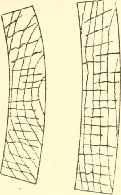 An illustration from Training in wood-work, designed for use in manual training and technical school; consisting of three parts: carpentry, wood-turning and pattern work, 1902, leaf 88
