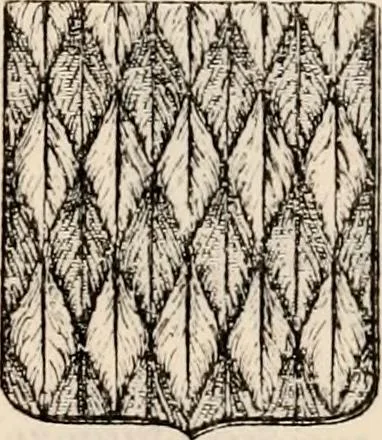 An illustration from Traité complet de la science du blason : à l'usage des bibliophiles, archéologues, amateurs d'objets d'art et de curiosité, numismates, archivistes, artistes, etc., 1880, leaf 208