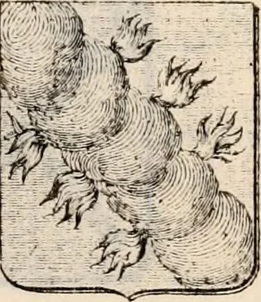 An illustration from Traité complet de la science du blason : à l'usage des bibliophiles, archéologues, amateurs d'objets d'art et de curiosité, numismates, archivistes, artistes, etc., 1880, leaf 226